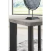 T251-13-END-DETAIL