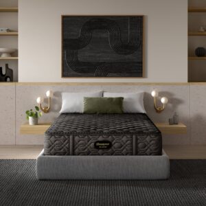 Beautyrest Black - Series One