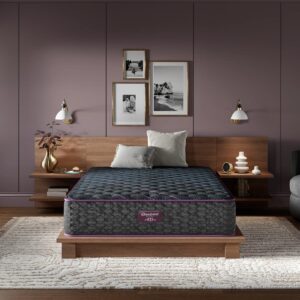Beautyrest World Class - Level 3